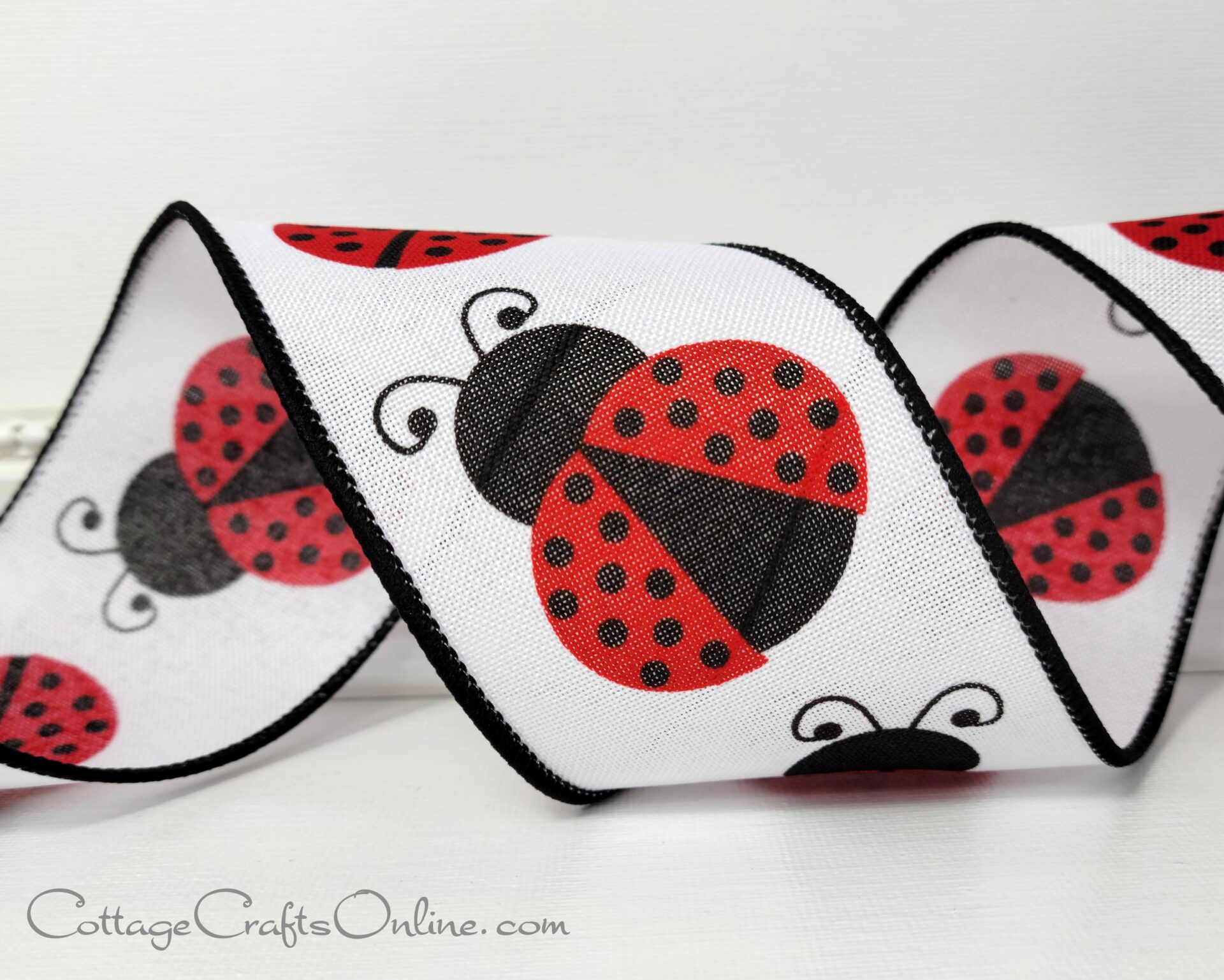 A close up of the ribbon with a ladybug design