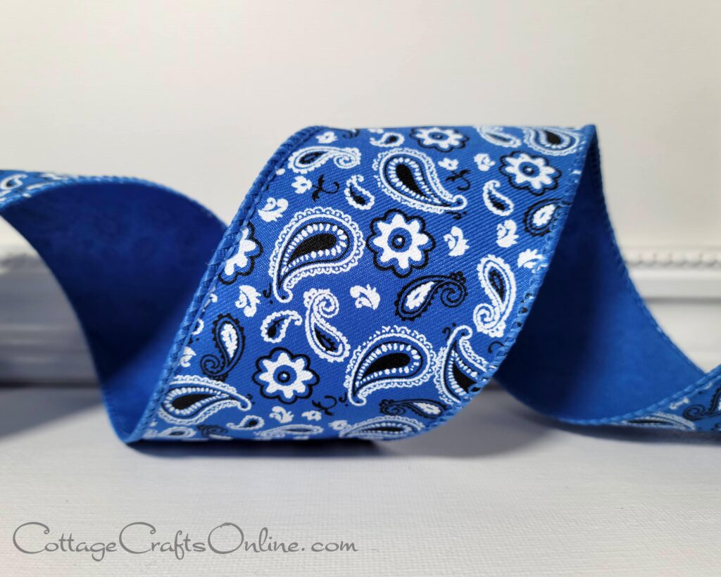 A blue ribbon with white and black paisley design.
