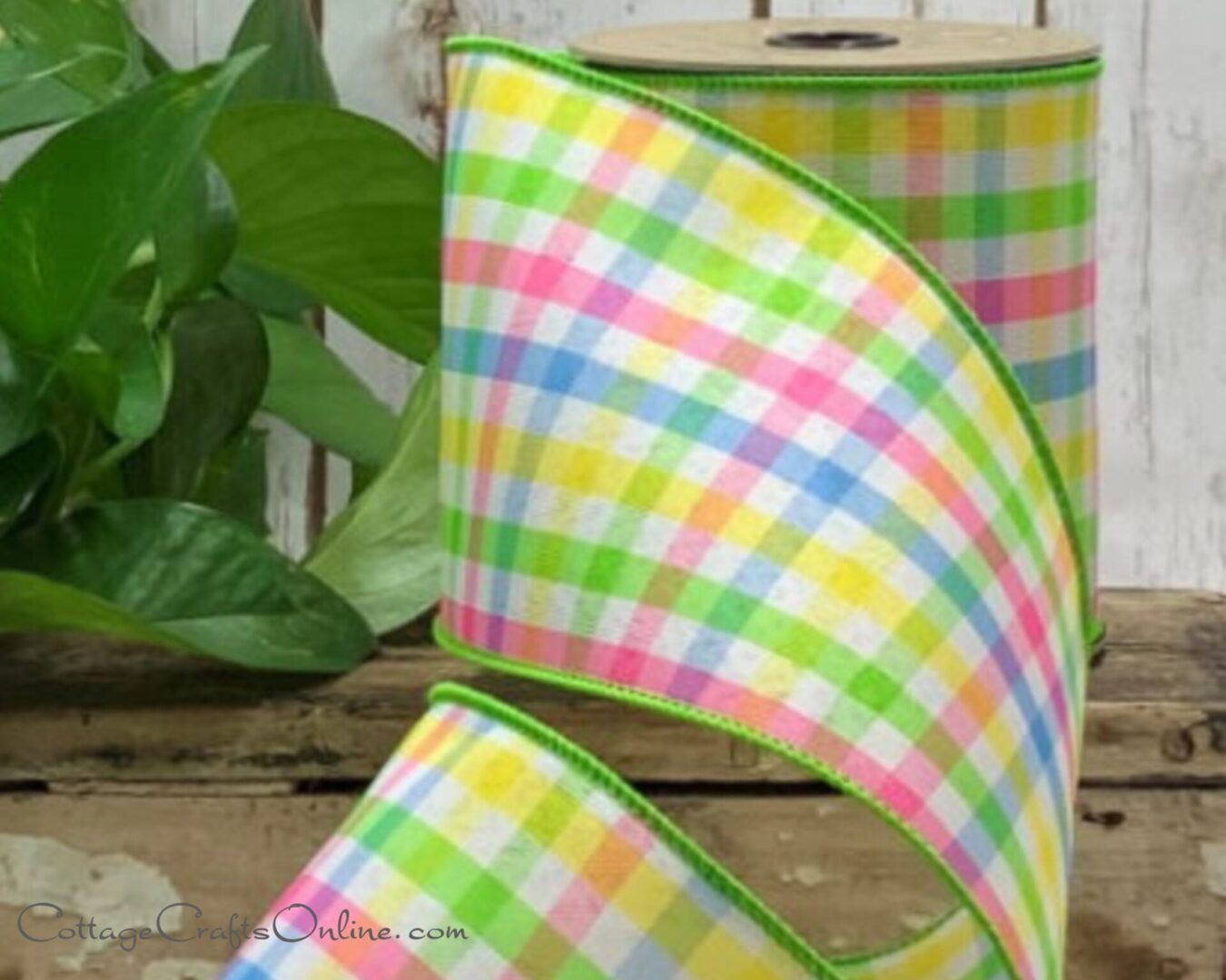 A close up of the ribbon on a chair