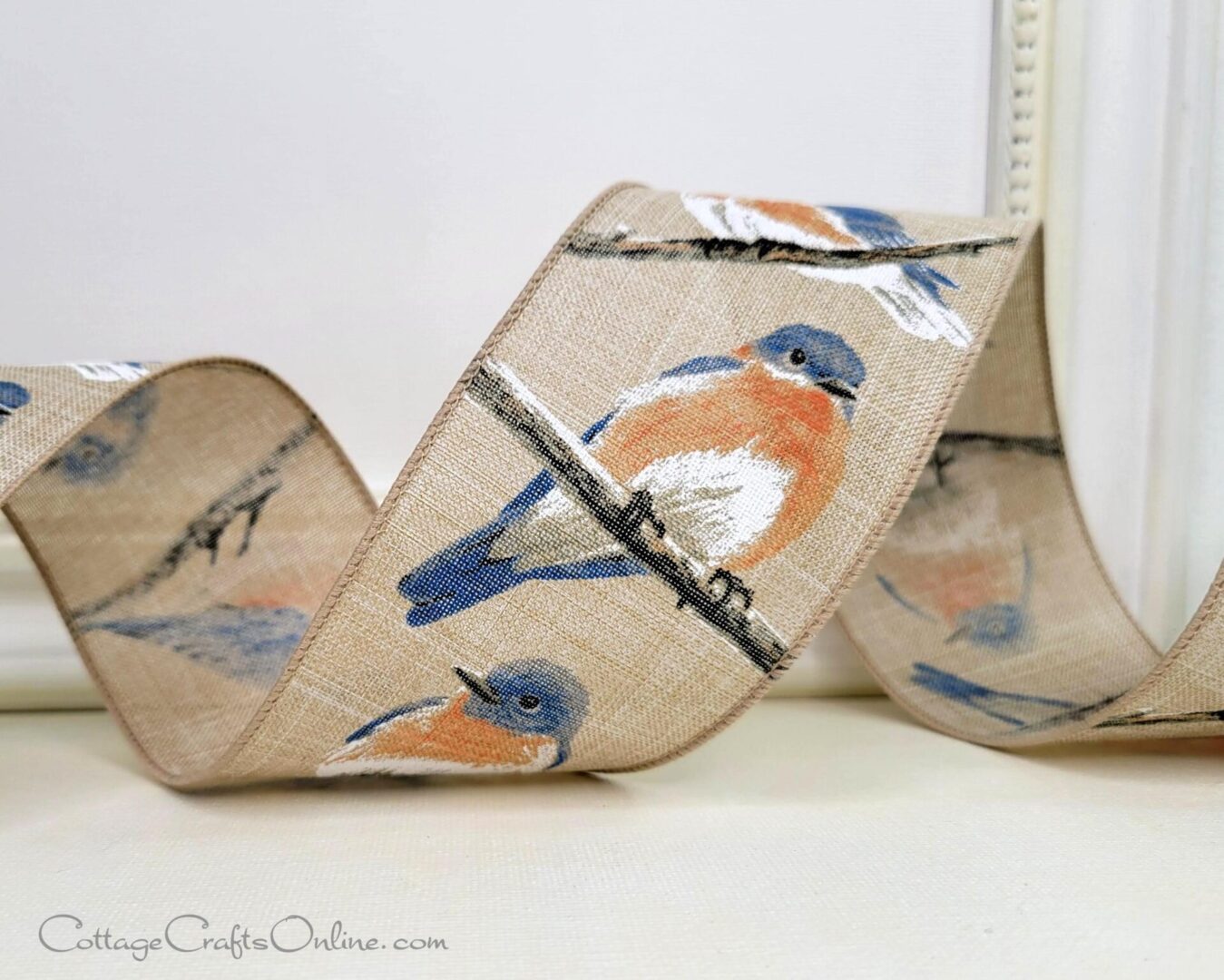 chubby birds blue tan